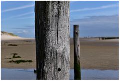 Wangerooges Osten