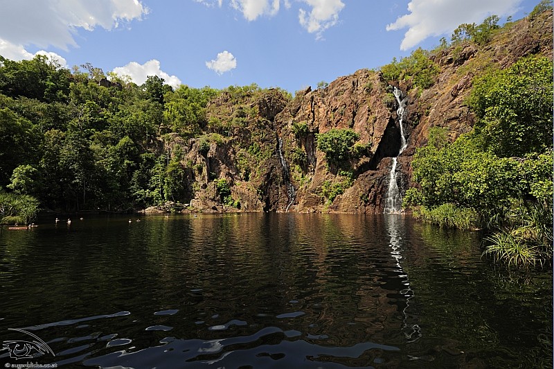 Wangi Falls Australia