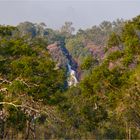 Wangi Falls im Litchfield-Nationalpark