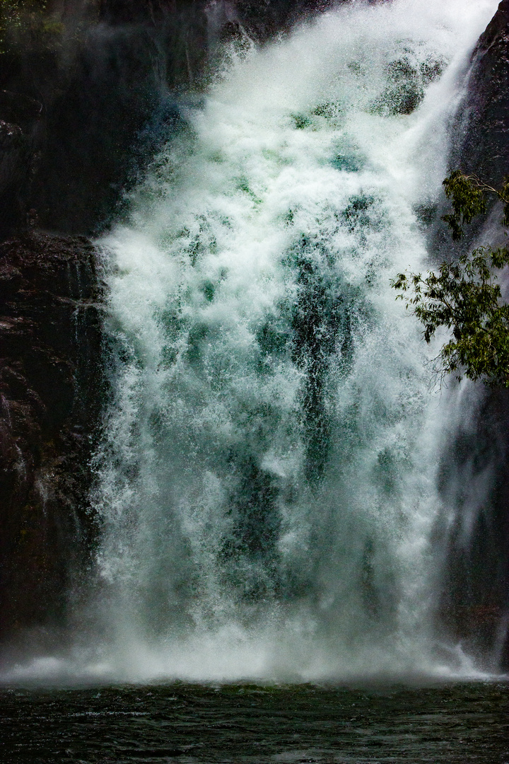 Wangi Falls IV