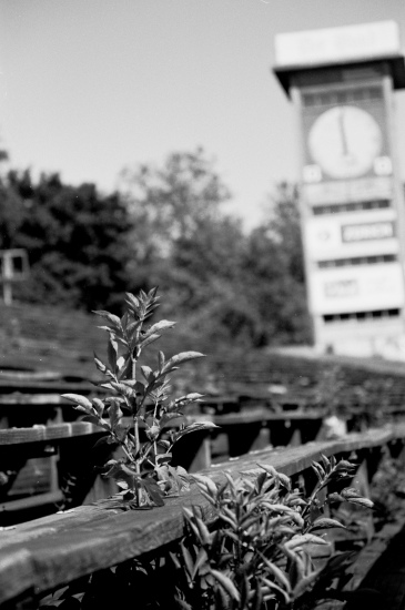 Wankdorf, no. 2. Eine Dokumentation