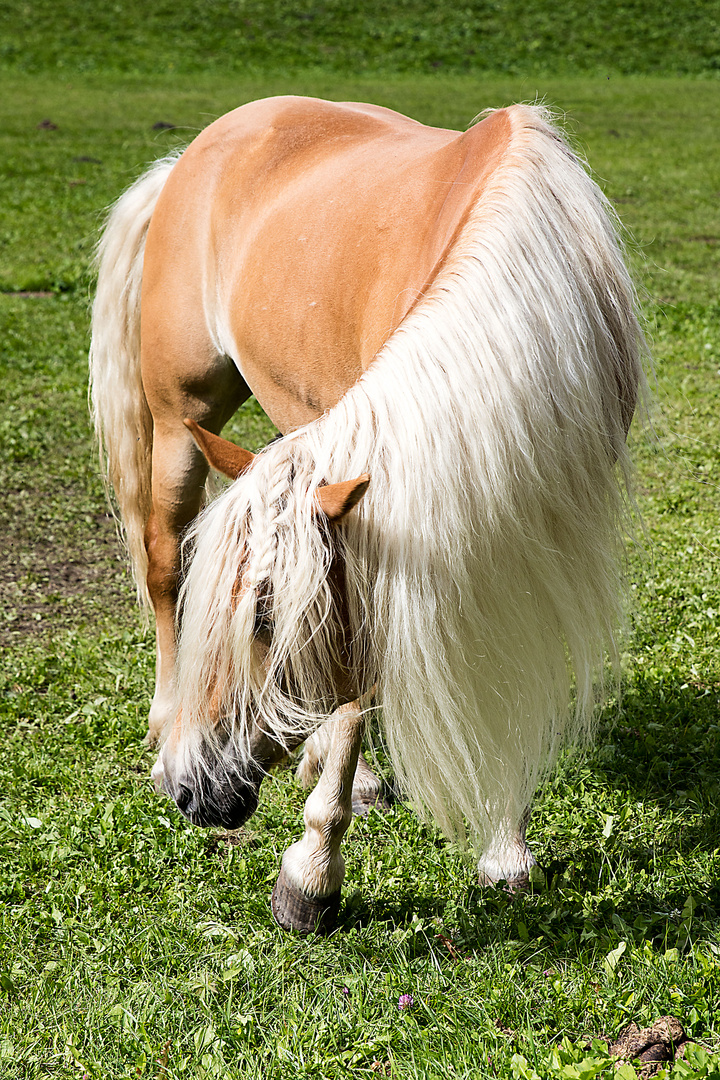 Wann darf ich endlich zum Friseur?