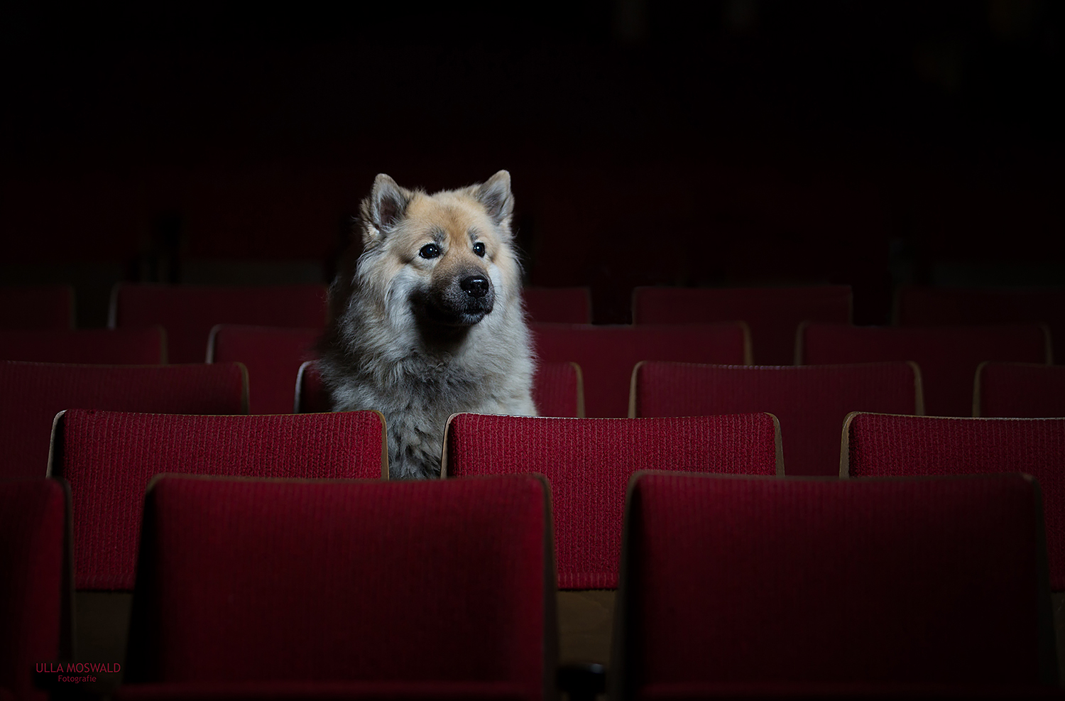 ...wann fängt der Film an...