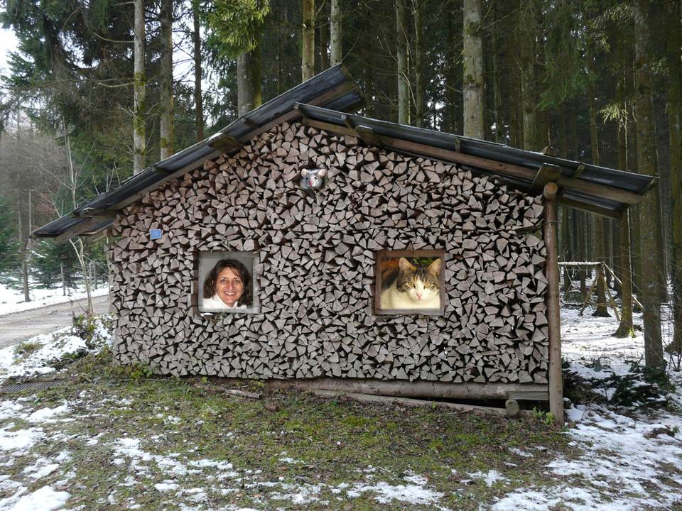 Wann fängt Weihnachten an? Foto & Bild tiere, haustiere, katzen Bilder auf