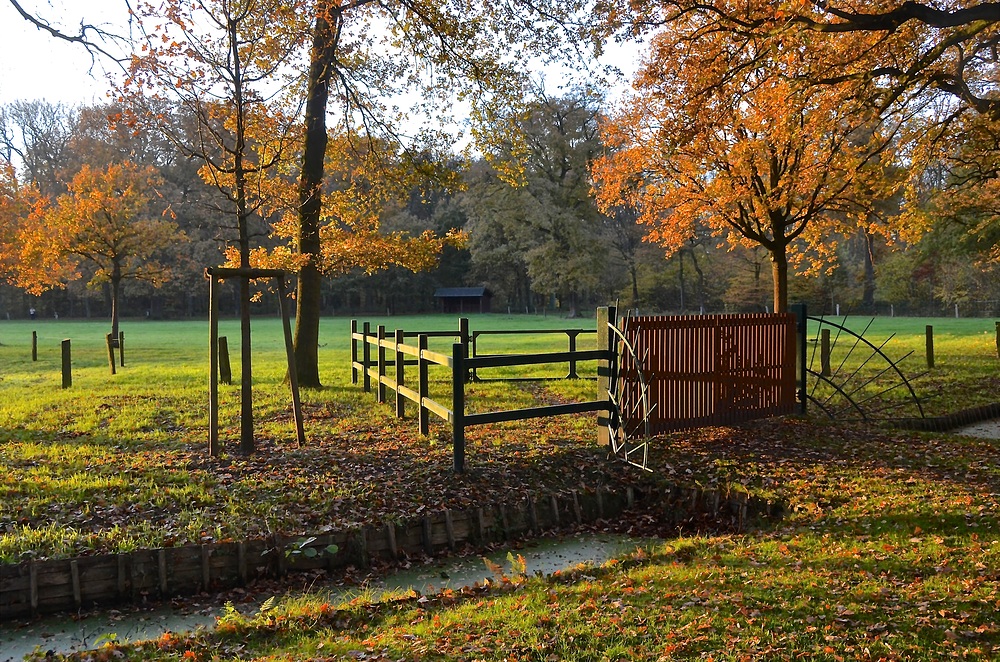 Wann gab es zuletzt einen so schönen November in Bremen?