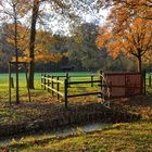 Wann gab es zuletzt einen so schönen November in Bremen?