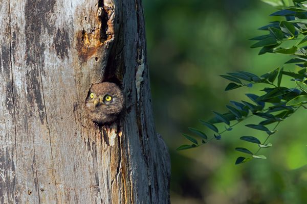 Wann geht denn endlich die Sonne unter...