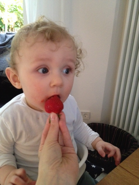 Wann gibt`s denn endlich Erdbeeren?