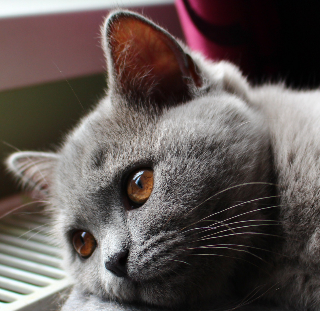 Wann hört es auf zu regnen?