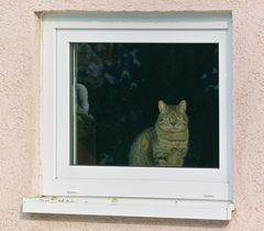 Wann ist denn endlich Schluß mit dem Schnee ?