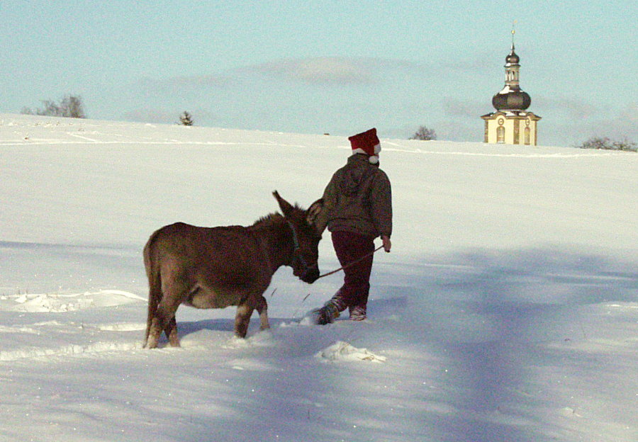 Wann ist es wieder Winter ...