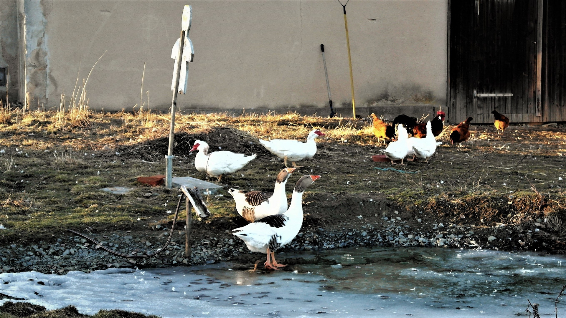 Wann kommt denn der Frühling endlich ?!!