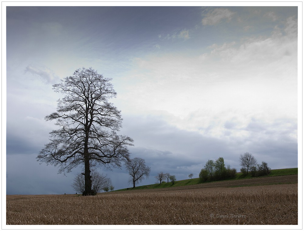 wann kommt der Frühling?