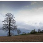 wann kommt der Frühling?