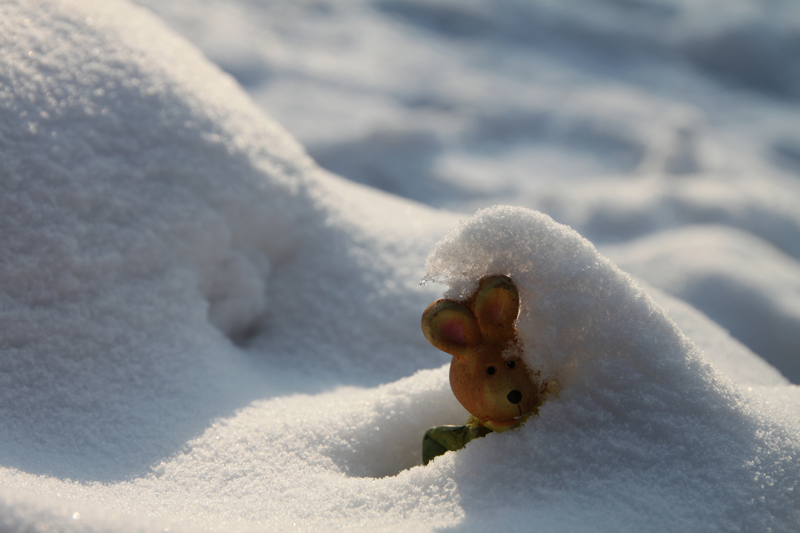 Wann kommt der Frühling?