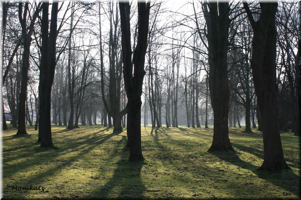 Wann kommt der Frühling...