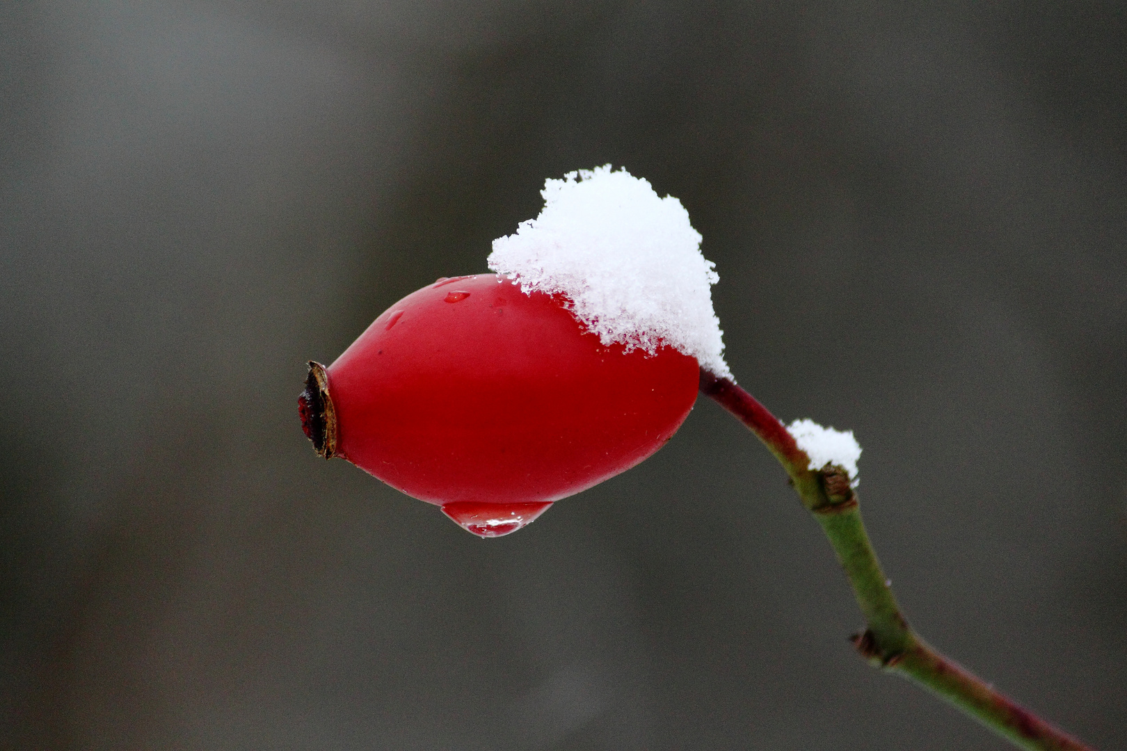 Wann kommt der Frühling?