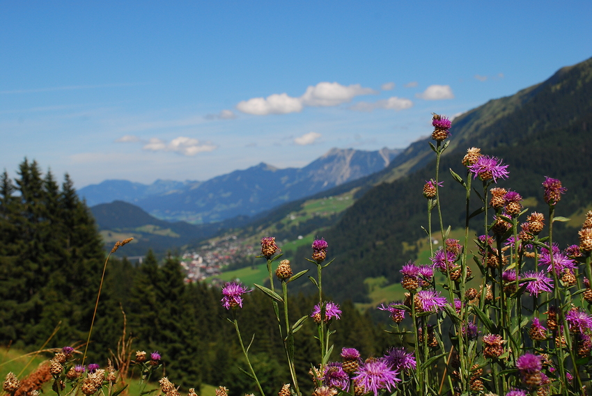 Wann kommt der Sommer?