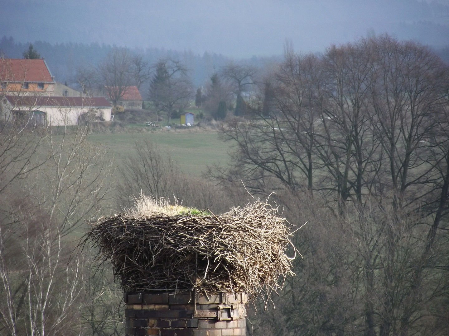 Wann kommt der Storch wieder?