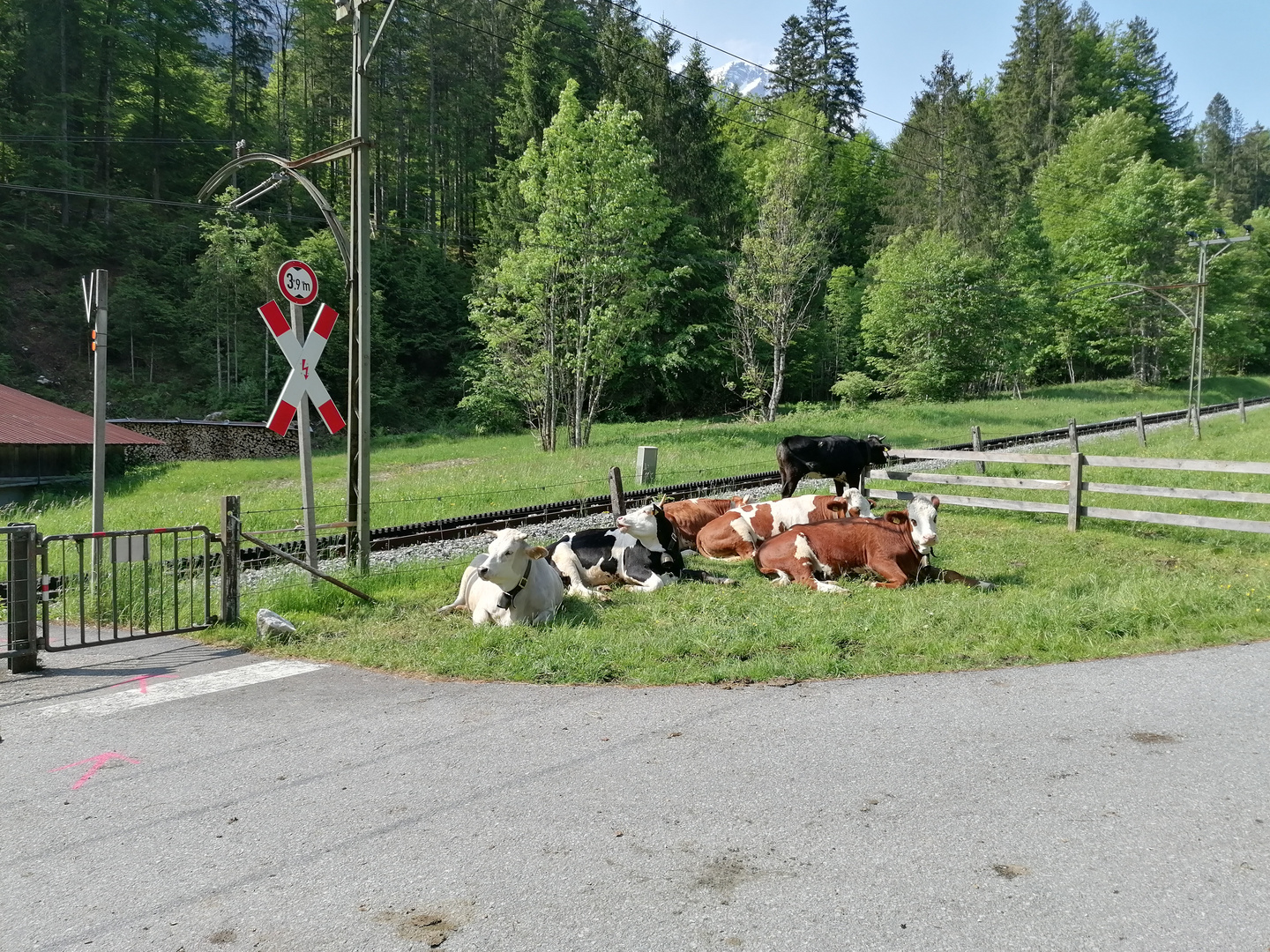 Wann kommt der Zug, Streik? 