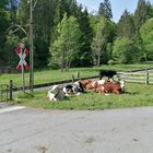 Wann kommt der Zug, Streik? 