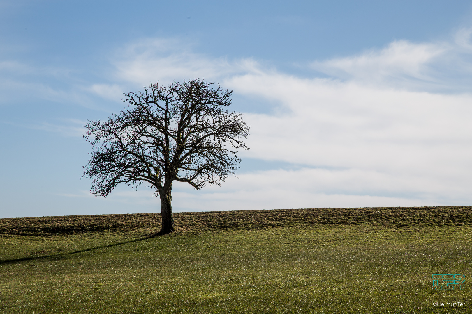 Wann kommt endlich der Frühling? Foto & Bild | landschaft ...