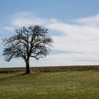 Wann kommt endlich der Frühling?