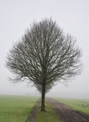 Wann kommt endlich der Frühling???