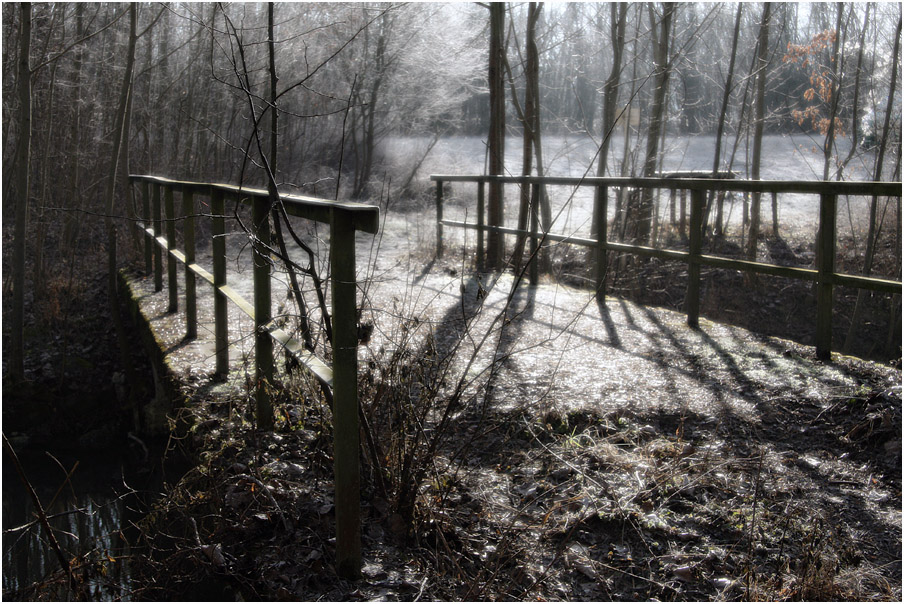 Wann kommt mein Prinz mit dem weißen Hengst durch den Wald geritten?