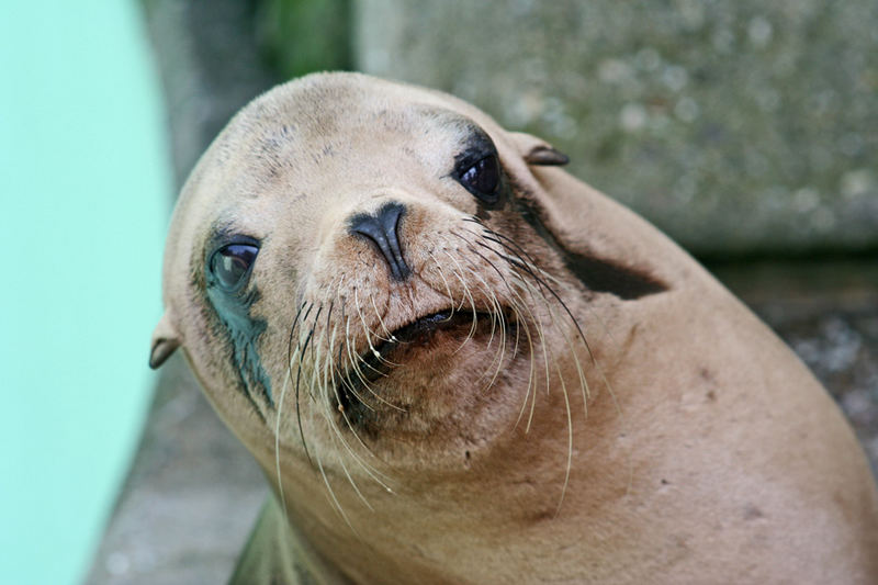 Wann kommt wieder Wasser?