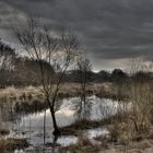 Wann wird es endlich Frühling?