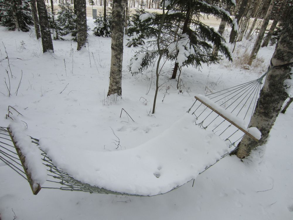 wann wird es endlich wieder Sommer Foto & Bild jahreszeiten, winter