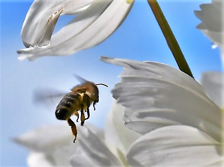 Wann wird es endlich wieder Sommer ...