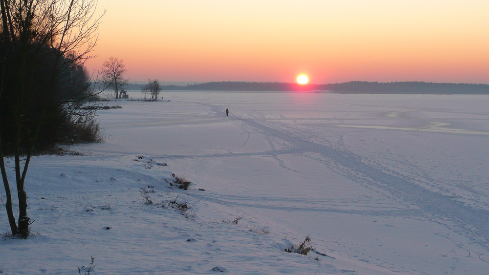 Wann wird es endlich wieder Sommer? Foto & Bild ...