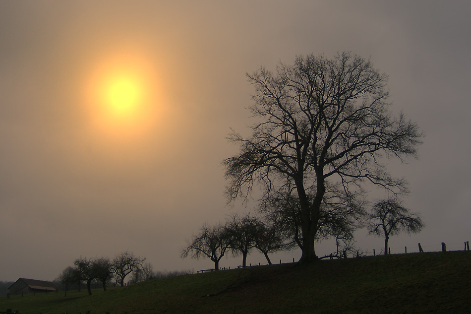 wann wird es endlich wieder Sommer ?