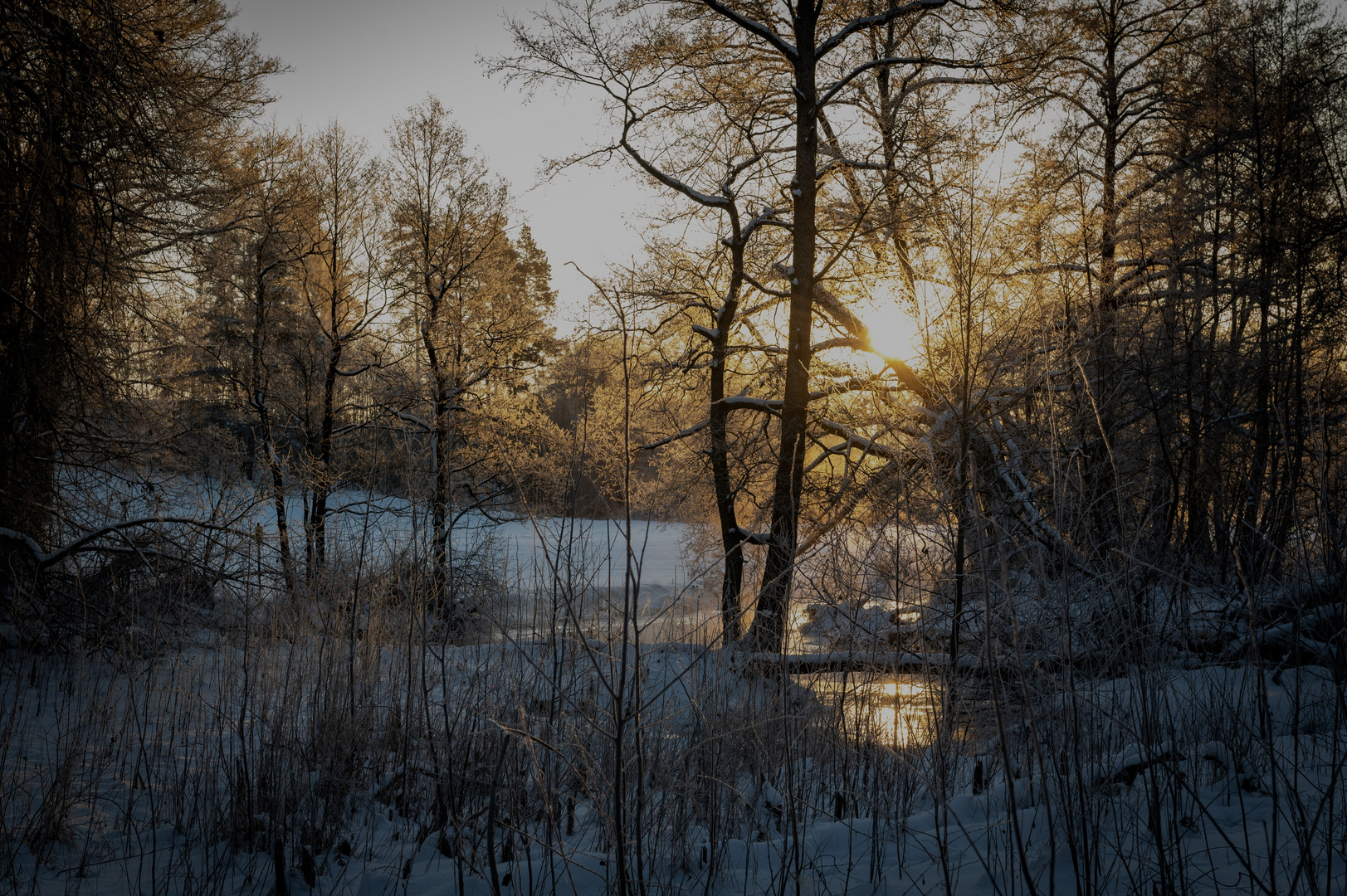 Wann wird es Frühling?