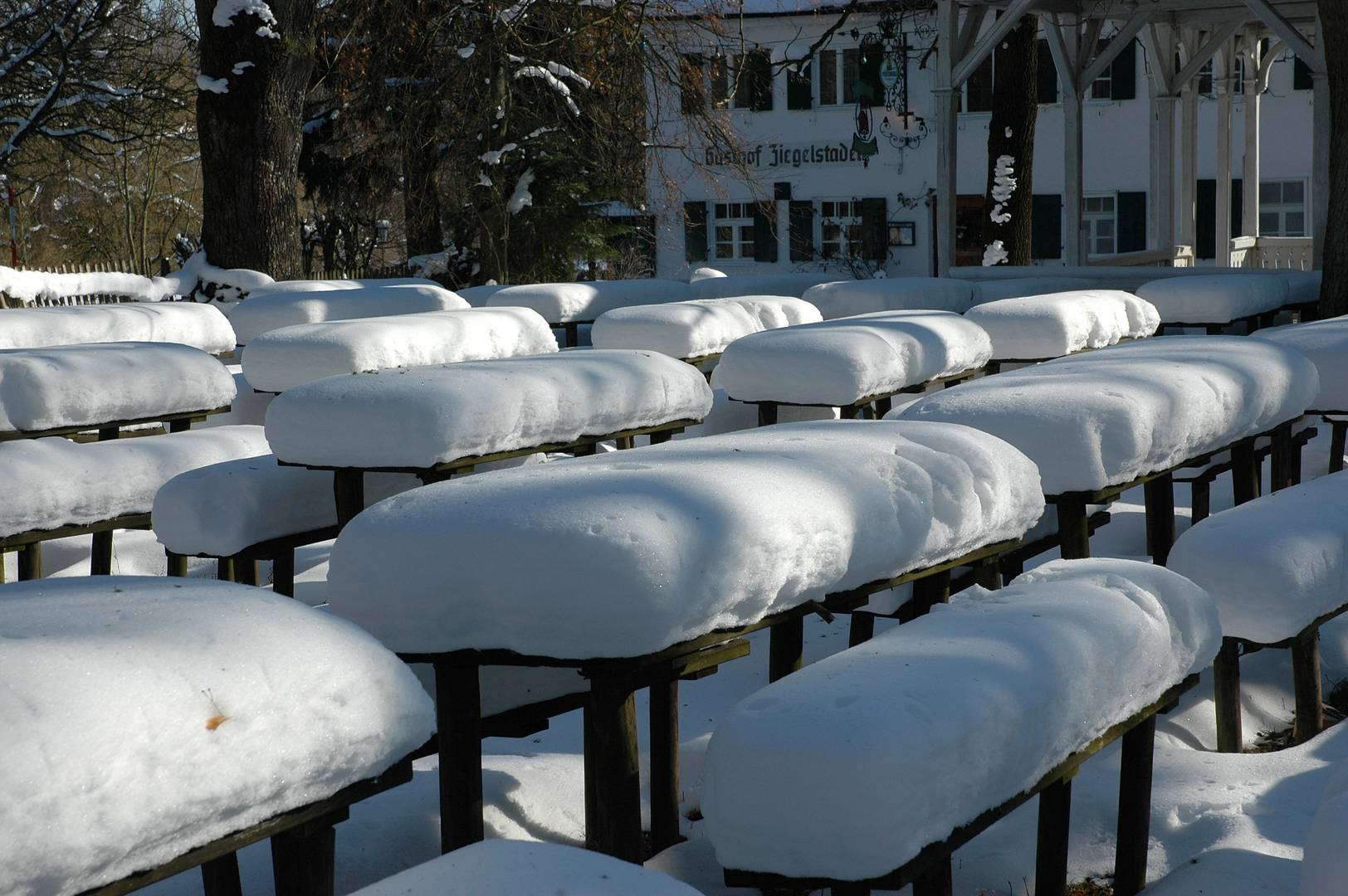 WANN wird es mal endlich wieder ein richtiger Winter ?