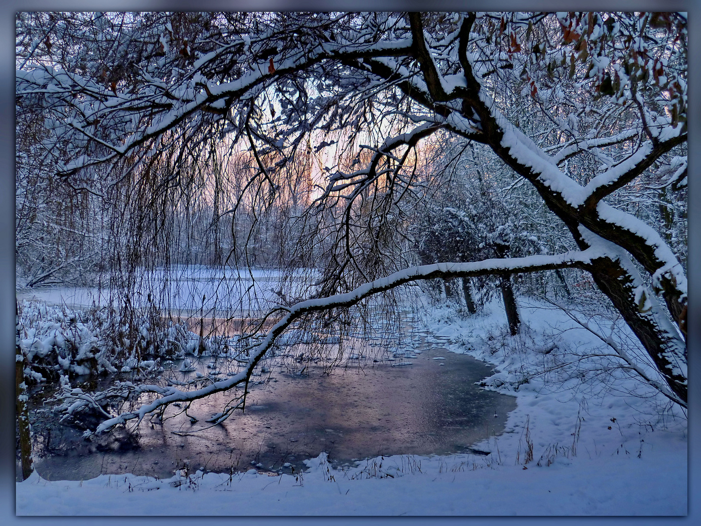 Wann Wird Es Wieder Foto Bild Jahreszeiten Winter Winter