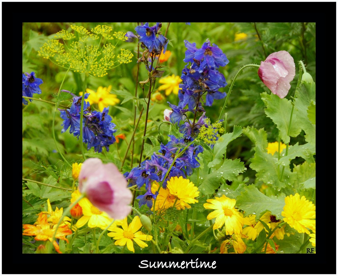Wann Wird Es Wieder Einmal Sommer Foto Bild Jahreszeiten