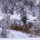 Wann wird es wieder richtig Winter