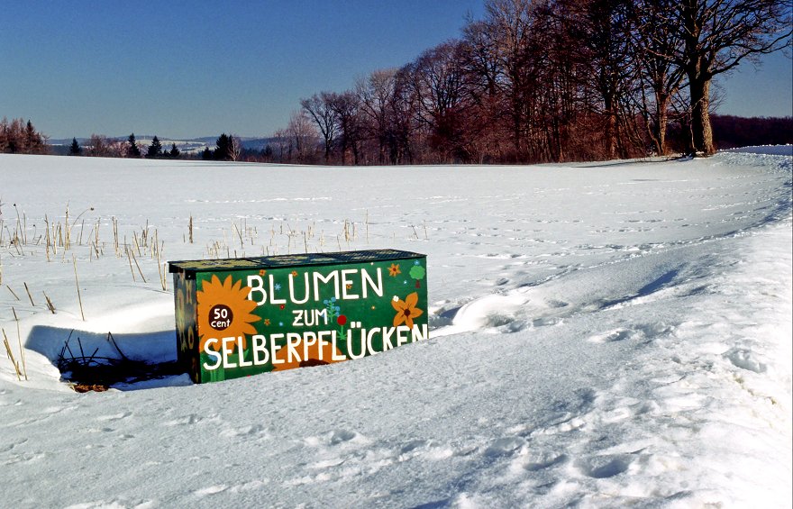 Wann wird mal wieder richtig Winter