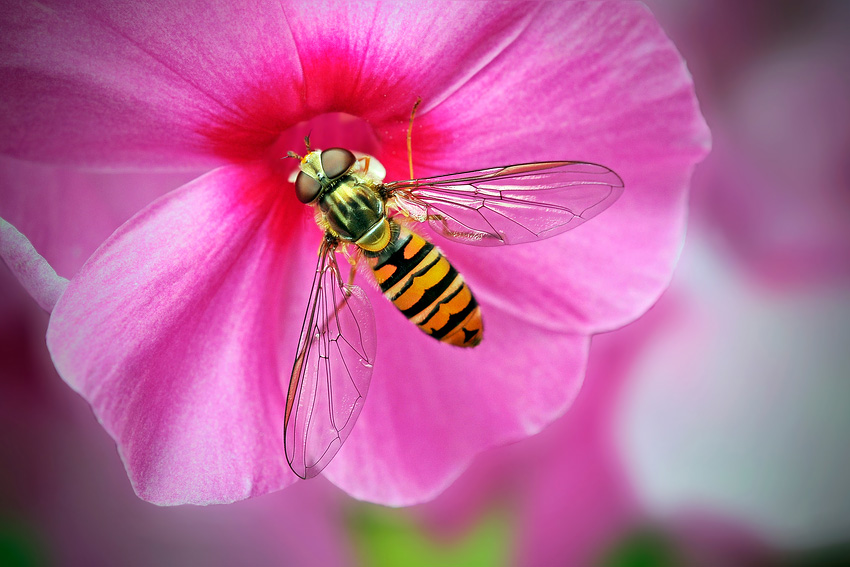 Wann wird´s denn endlich wieder richtig Sommer ?