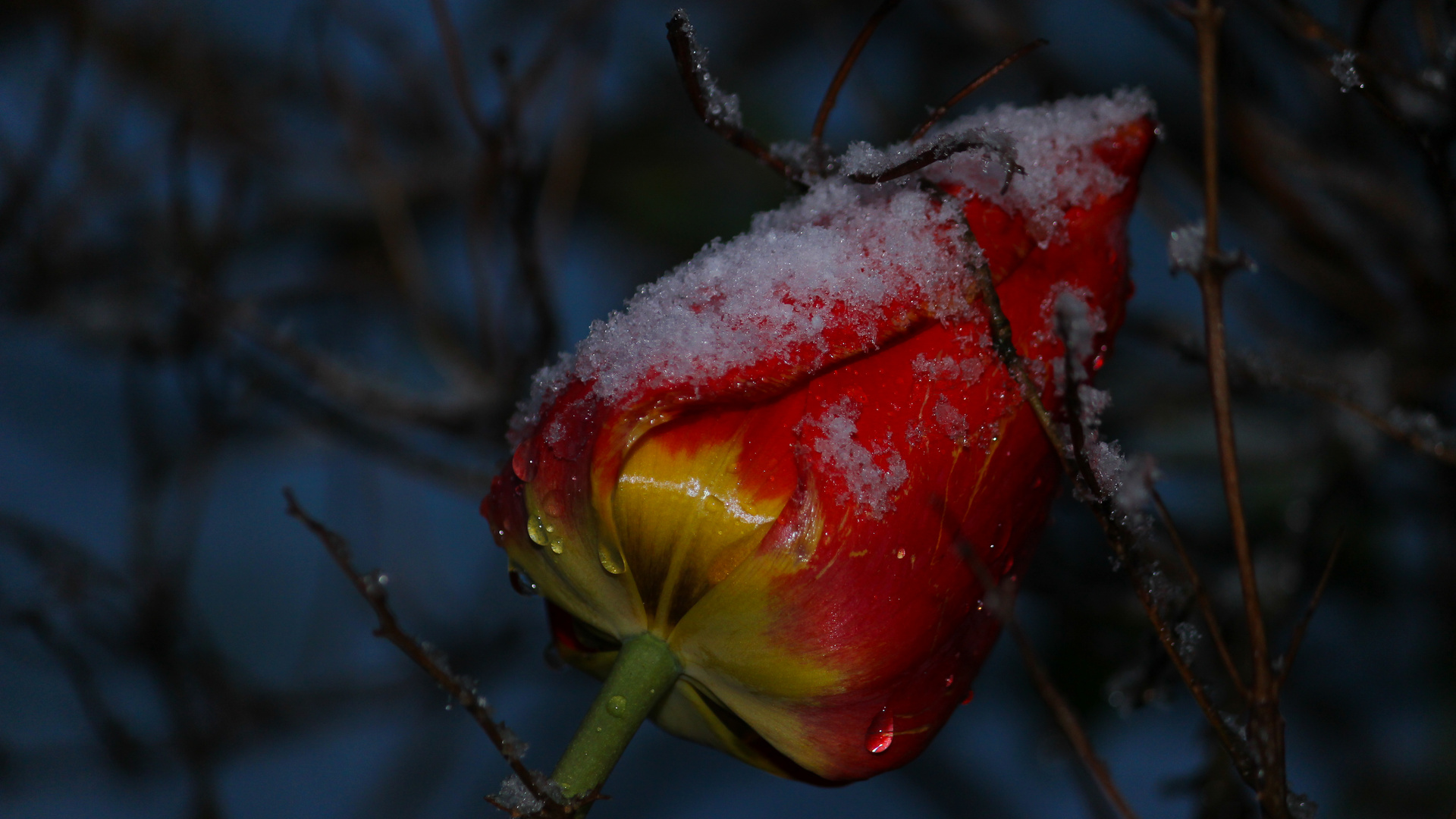 Wann wird's mal endlich wieder richtig Sommer...