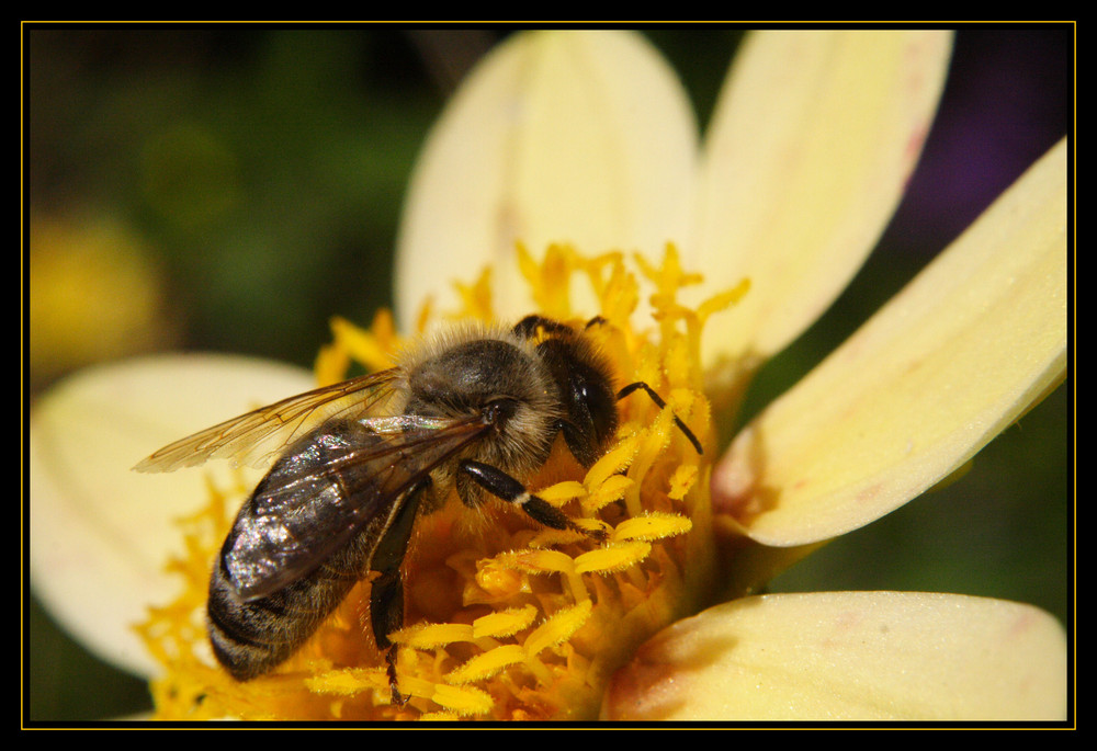 Wann wird`s mal wieder richtig Sommer?