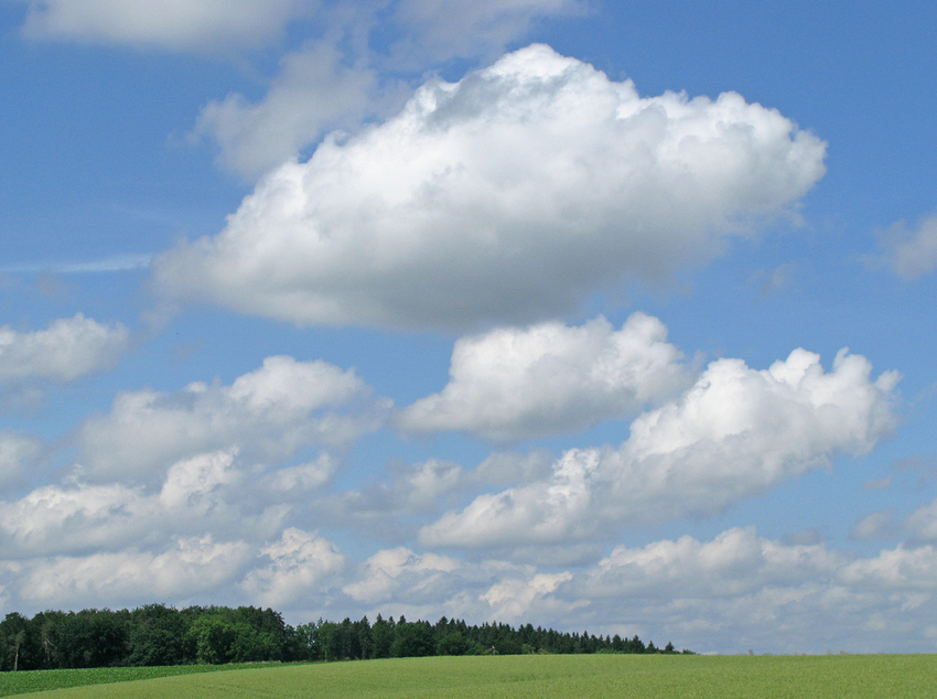 Wann wird's mal wieder richtig Sommer?