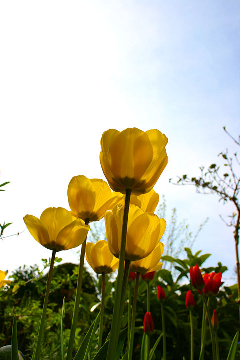 Wann wirds mal wieder richtig Sommer? So wie er früher....