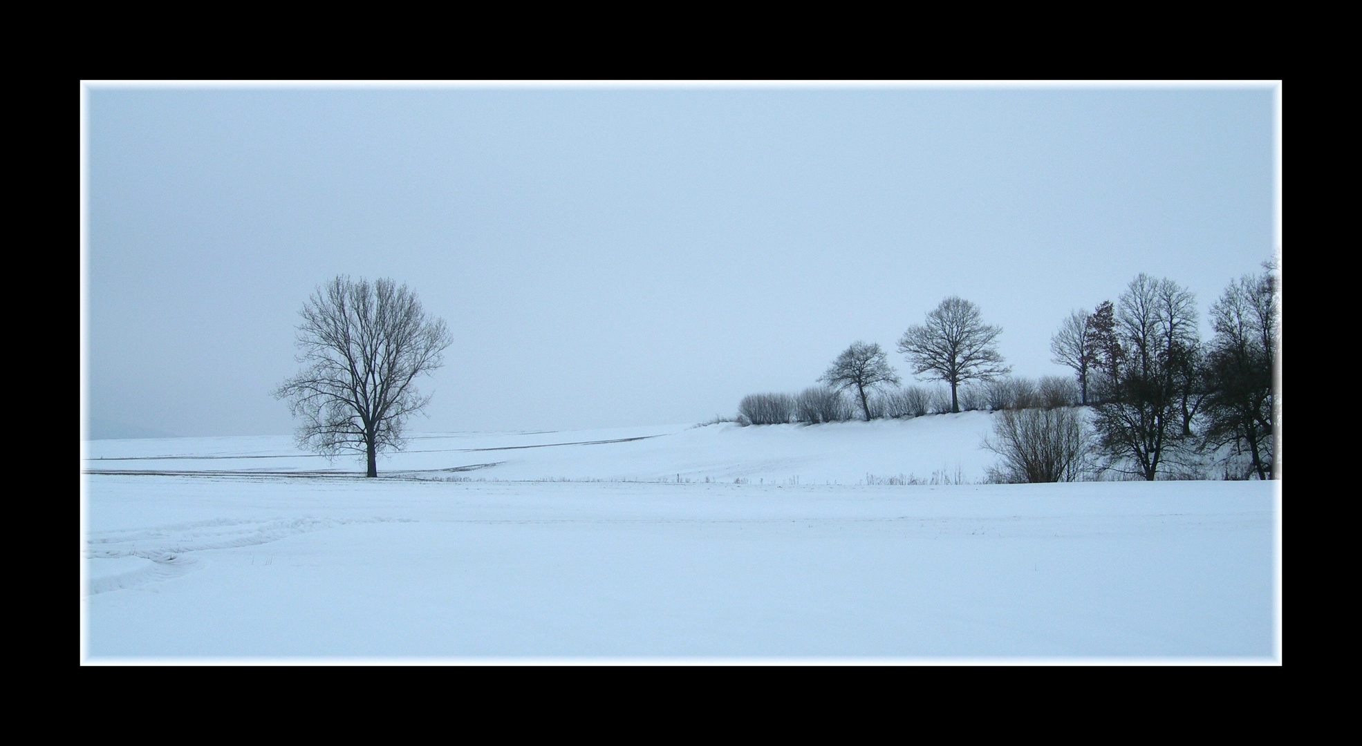 Wann wird's mal wieder richtig Winter ...