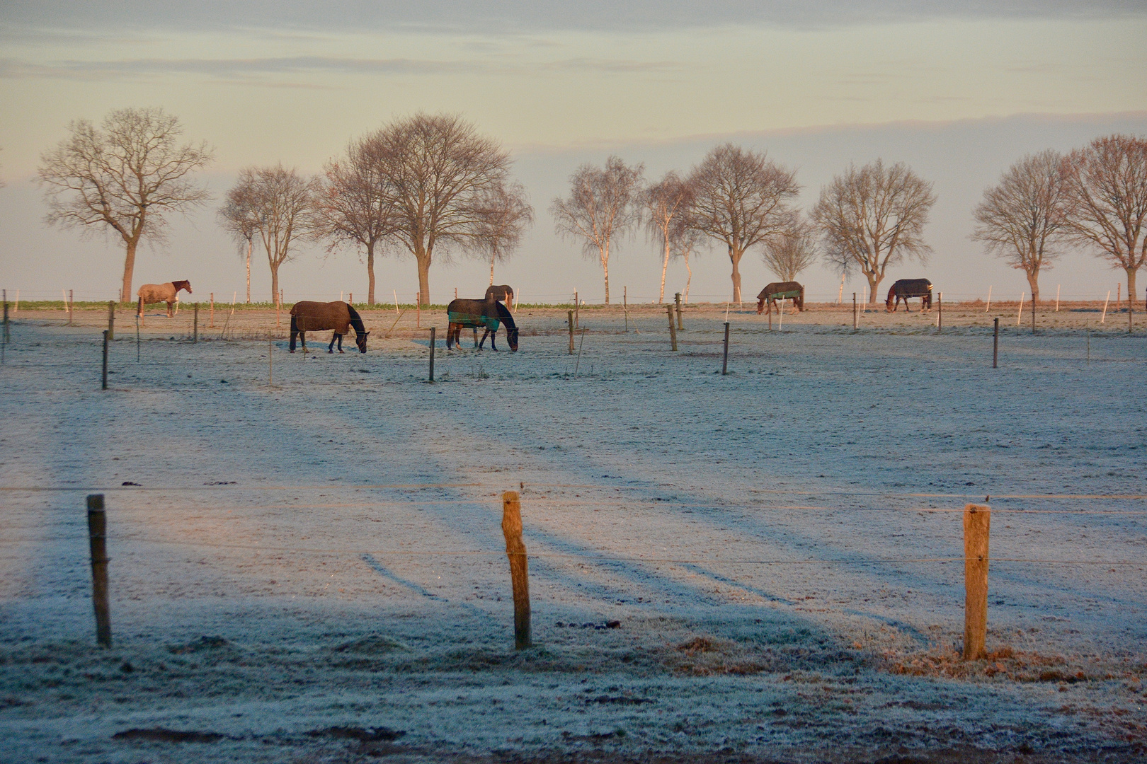 Wann wird's mal wieder richtig Winter?