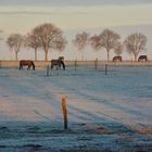 Wann wird's mal wieder richtig Winter?