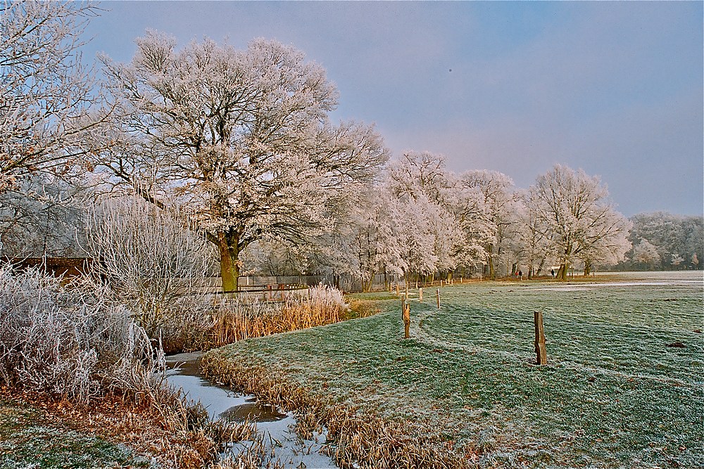 Wann wird's mal wieder richtig Winter?